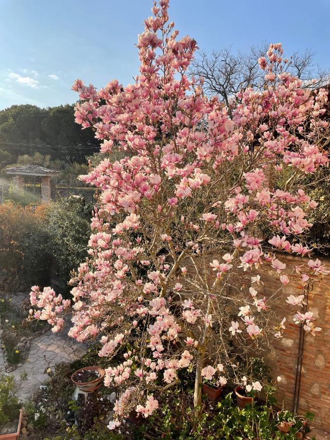 C'Era Una Volta B&B Perugia Bagian luar foto